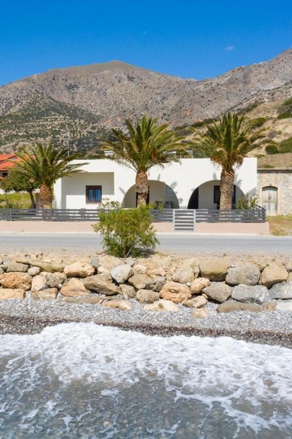 Atalanti Seaside Junior * Κερατόκαμπος