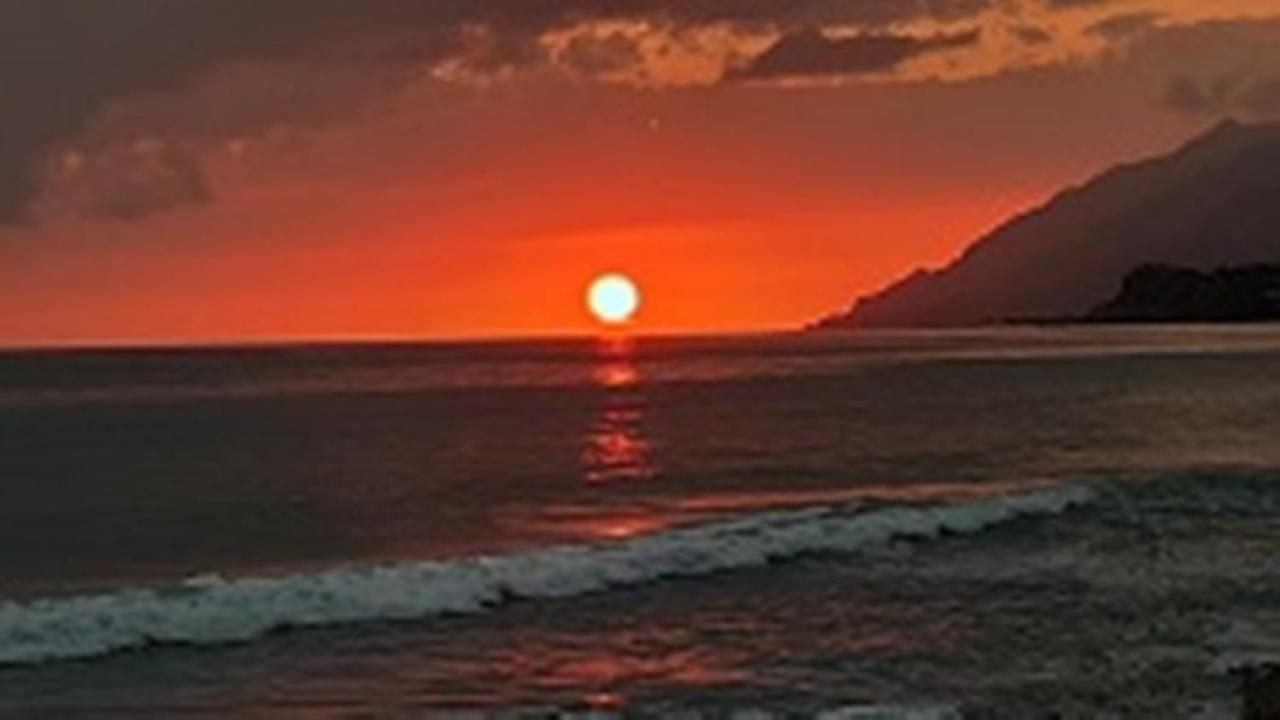 Atalanti Seaside Junior Κερατόκαμπος